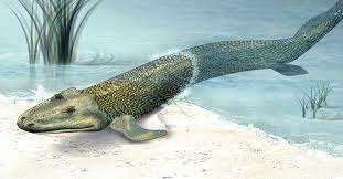 Aparición de los primeros organismos anfibios