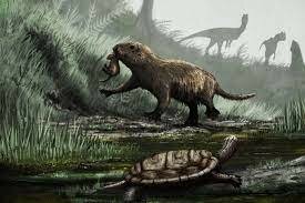 Aparición de los mamíferos