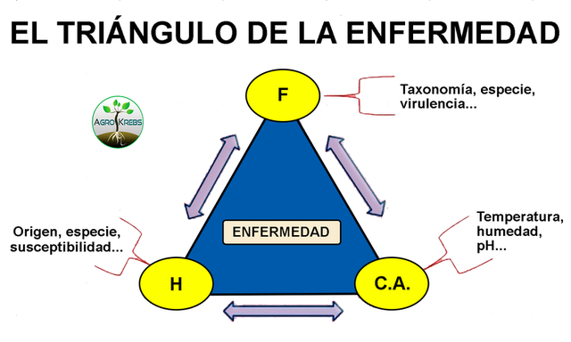 Taxonomia de las enfermedades