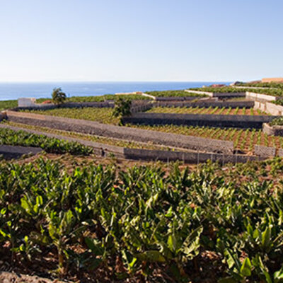 Timeline: Adeje - acontecimientos ECONÓMICOS