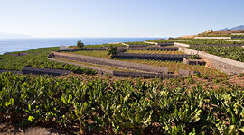 Timeline: Adeje - acontecimientos ECONÓMICOS