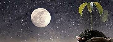 La teoria cosmica o sideral