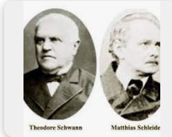 Mathias Schleiden y Theodor Schwan