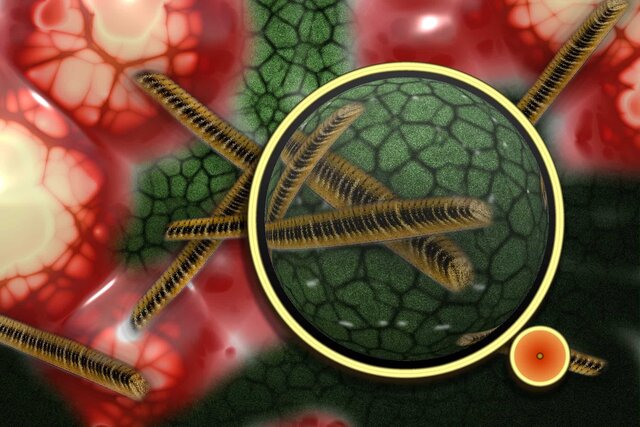 La teoría microbiana sin Pasteur y Koch