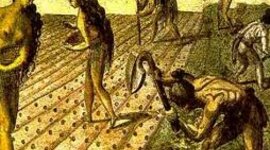 Timeline: Origen de las enfermedades By Doyler Murillo