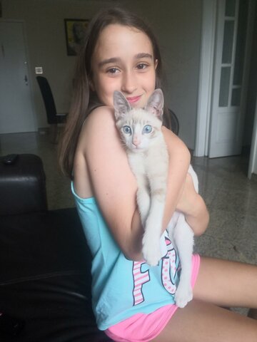 Quando ganhei o meu gatinho Tchutchuco