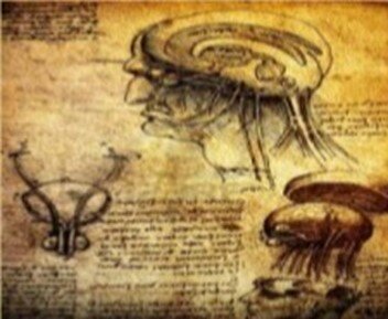 El inicio de la Ilustración