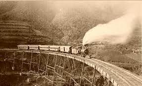 Se construyeron más de 20,000 km. de vías férreas , puertos telegráficos, alumbrado público, desarrollo agrícola.