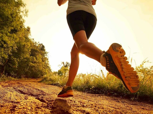 Programa Profesional en Actividad Física