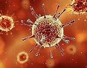 la teoría microbiana sin Pasteur y koch