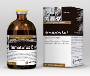 Lanzamiento de Hematofos B12