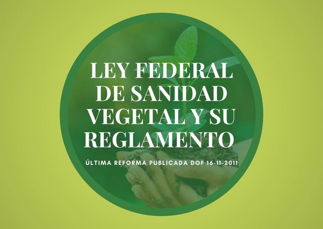 Modificaión de Leyes