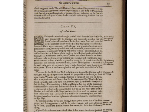 Foods of the Columbian Exchange