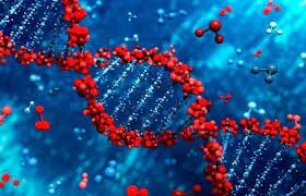 Discovery of Nucleic Acids