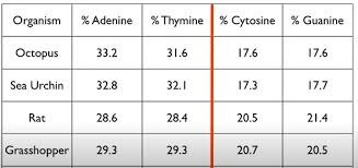 Counting Nucleobases