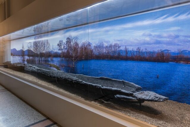 Deblak z Ljubljanskega barja