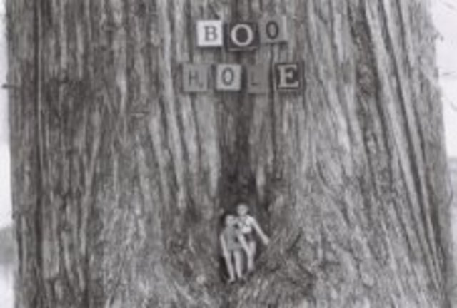 Jem retrieves his pants and the tree is no more