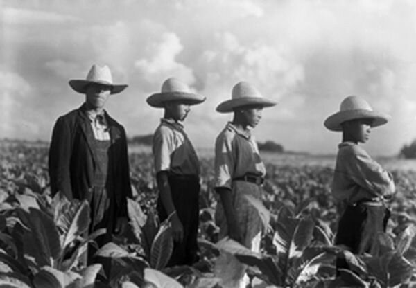 Strong with Wheat Policy