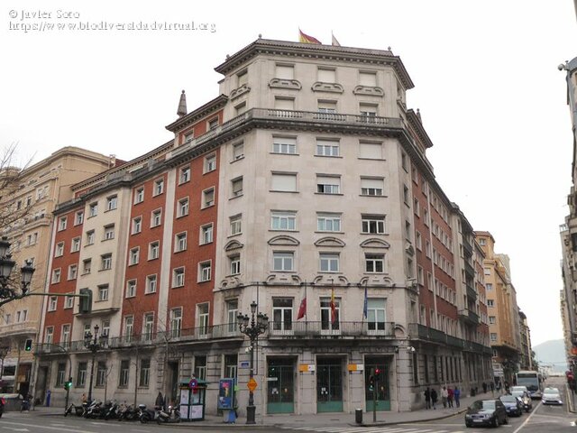 Instituto Nacional de Previsión