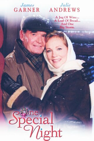 One Special Night