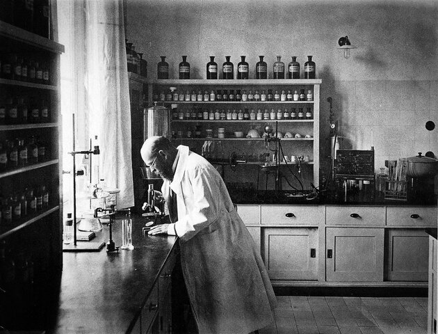 6. La teoría microbiana.