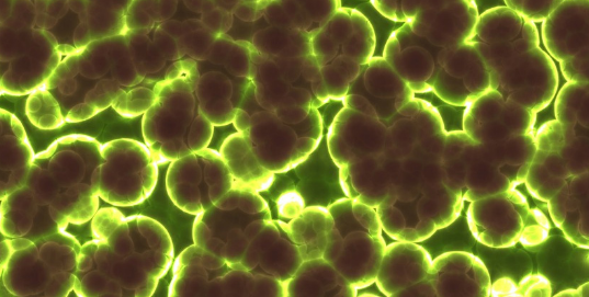 OTRAS NOCIONES DE CAUSAS