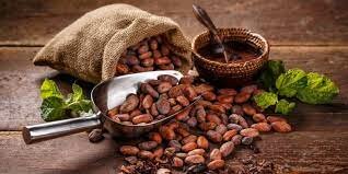 Comercialización conjunta de Cacao