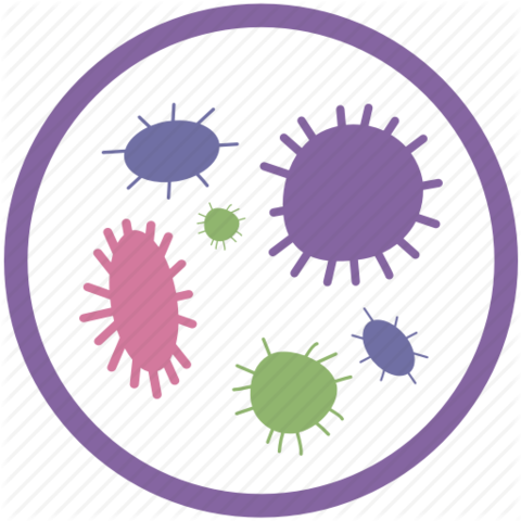 Otras nociones de causa