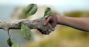 Cambio de Paradigmas : Antropocentrista a Naturocentrista