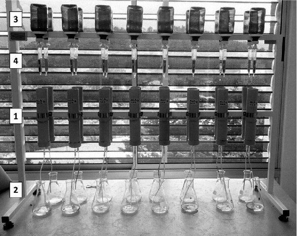 Biorreactores de Columna