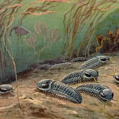 Timeline: Eras Geológicas y sus Formas de Vida