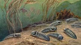 Timeline: Eras Geológicas y sus Formas de Vida