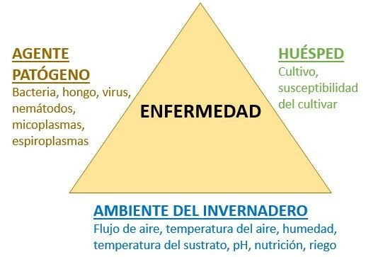 Otras Nociones de Causa.