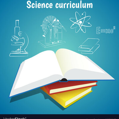 Timeline: Curriculum Analysis