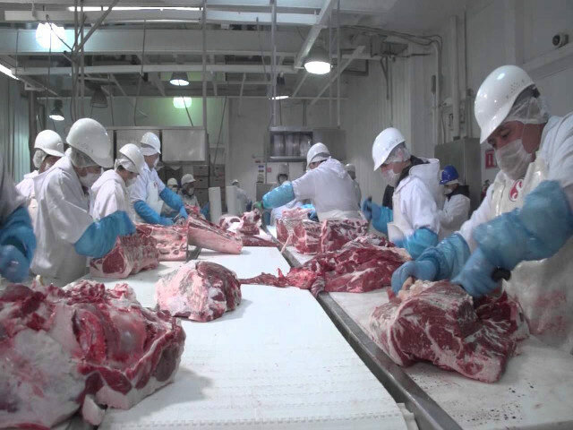 Fiebre aftosa y rastros TIF