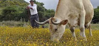 Fin de una parte agrícola