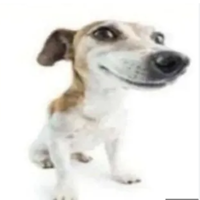 Timeline: Chronology of Sports in America