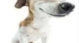 Timeline: Chronology of Sports in America