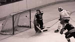 Professional hockey leagues were established, including the World Hockey Association and the National Hockey League