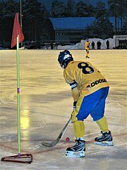 Bandy Popularity