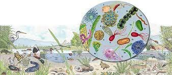 OTRAS NOCIONES DE CAUSA