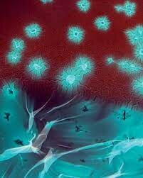 Otras nociones de causas