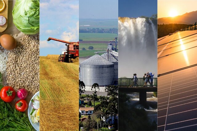 Sistema de mercadeo cooperativo en colombia