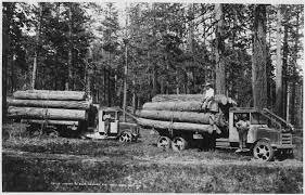 Timber Trade