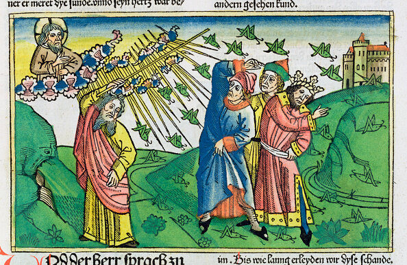 La Enfermedad y la Religión