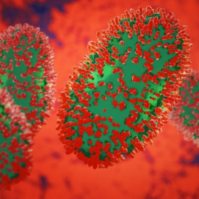 Timeline: Origen de la Enfermedad