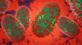 Timeline: Origen de la Enfermedad