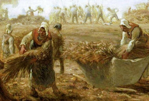 ● La enfermedad y la religión.