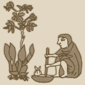 ● La enfermedad y la superstición.