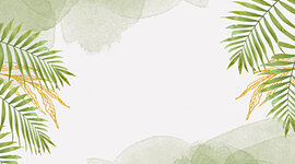 Timeline: Linha do tempo